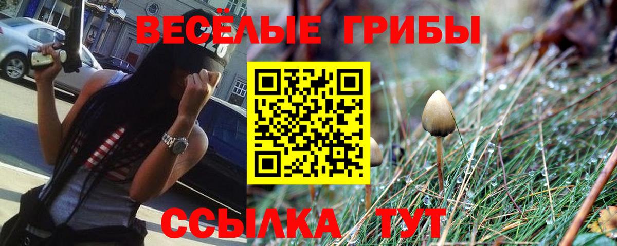 Галлюциногенные грибы мицелий  Псилоцибиновые грибы GOLDEN TEACHER  Спасск-Дальний  Вход с VPN 