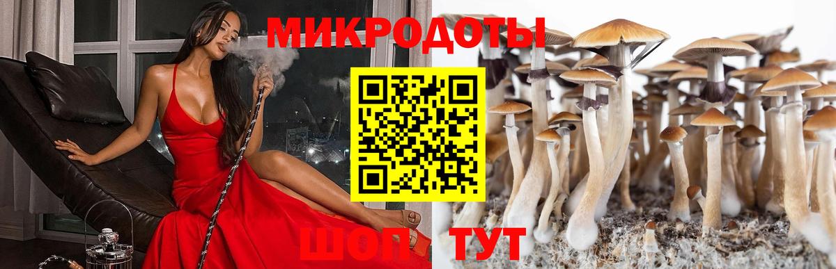 Галлюциногенные грибы Psilocybine cubensis Спасск-Дальний